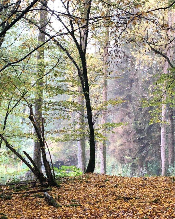Gartenblick Leichlingen Exterior foto