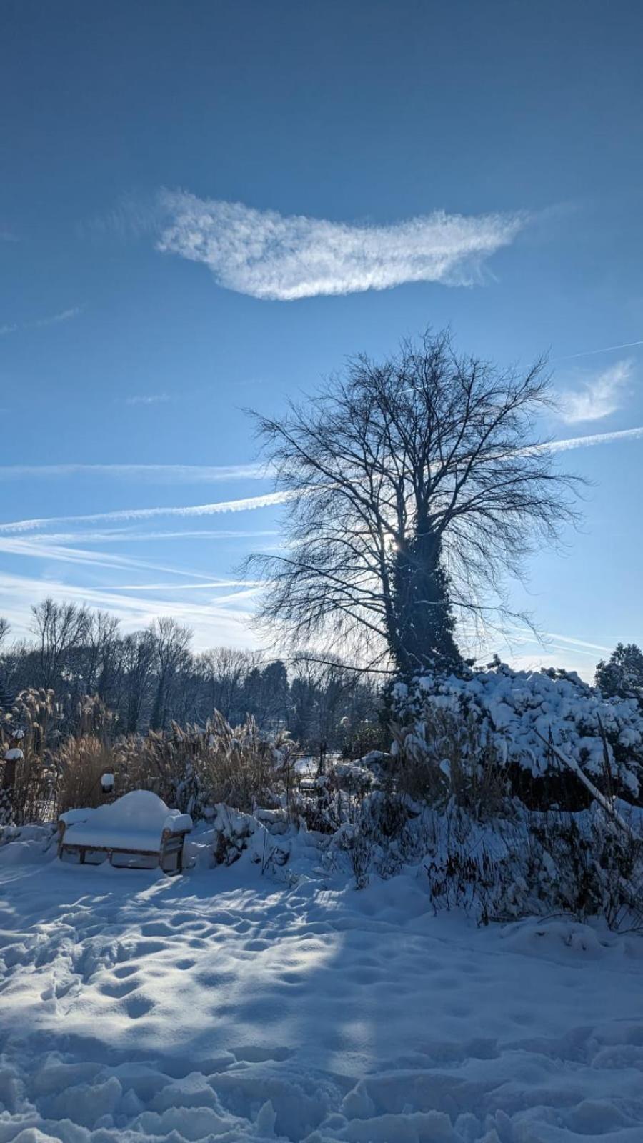 Gartenblick Leichlingen Exterior foto